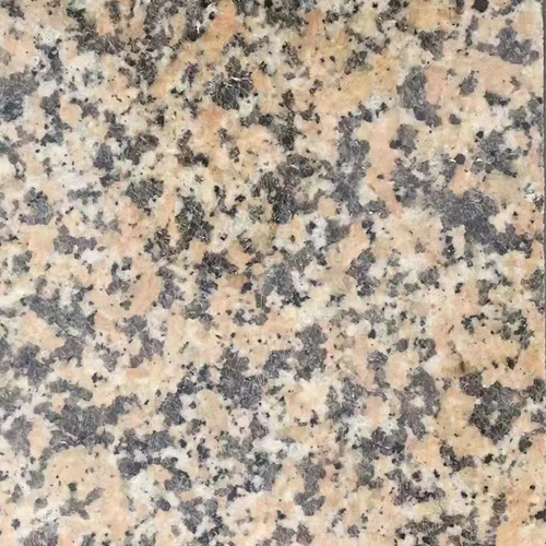 阿拉善黄